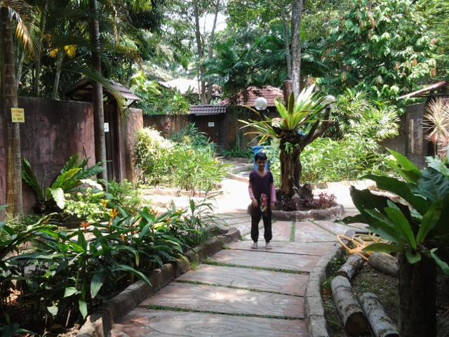 Alisa Holiday home